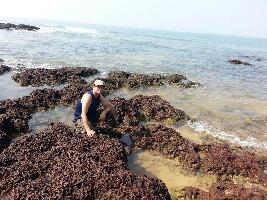 Anjuna Beach