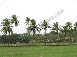 Bardez India Church