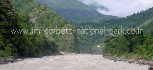 Jim Corbett National Park India Dam