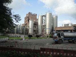 Amul