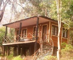 Saputara India Forest