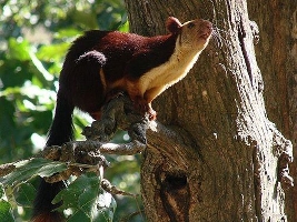Kutch India Sanctuary