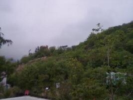 Bhildi India Sanctuary