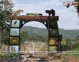 Dahod India Sanctuary