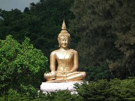 Kalimpong India Park