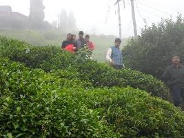 Darjeeling India Dam