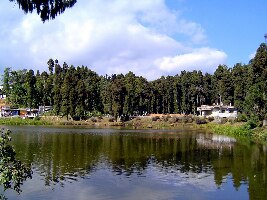 Darjeeling India Walk