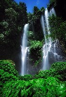 Sekumpul Waterfalls
