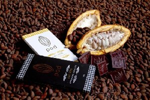 Indonesia Chocolate Factory