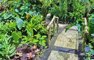 Cryoow Doll Workshop