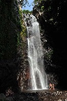 Buleleng Indonesia Waterfall