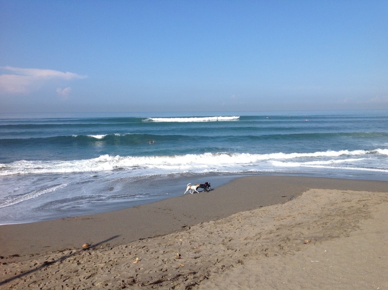 Surf Bungkus