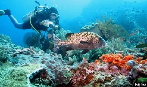 Tejakula Indonesia Tour