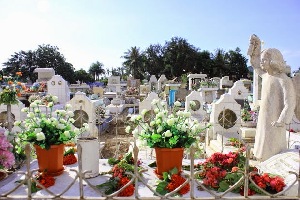 Indonesia Cemetery