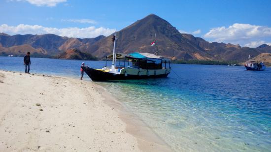 Komodo Mas Tour - Day Tours