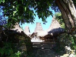 Pure Flores - Day Tours