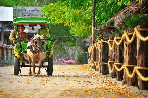 Lombok Indonesia Surf
