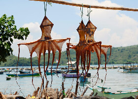 Lombok Indonesia Bay