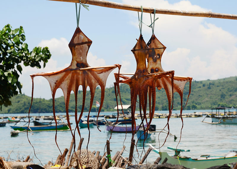 lobster Bay Lombok
