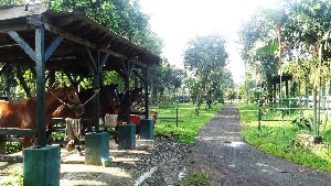 Arthayasa Stables and Country Club
