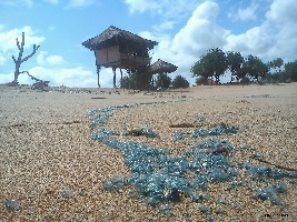 Sarangan Beach