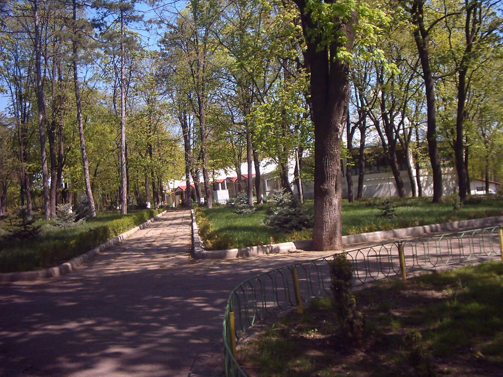 Parcul Copou