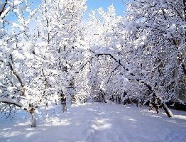 Stavropol Krai Russia Resort