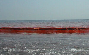 Russian Sea of Azov Coast Russia Temple