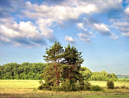 Sport Complex Zvezdny
