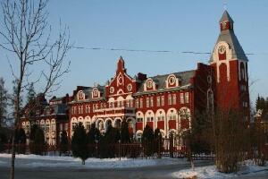 Tula Oblast Russia Market