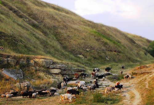Monument to General A.V. Gorbatov