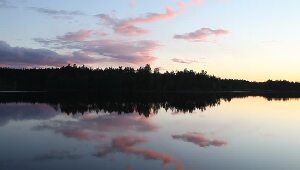 Russian Gulf of Finland Coast Russia Spa