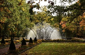 Vyborgsky District Russia Spa