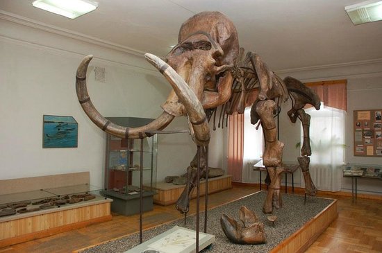 Penza State Museum of Local Lore