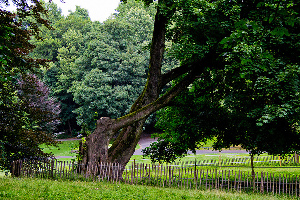 Parc Josaphat