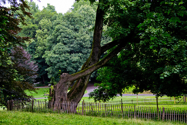 Parc Josaphat