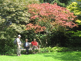 Arboretum Kalmthout
