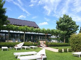 Tulpe Wellness