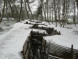 Belgium Sanctuary