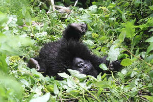 Rwanda Cave