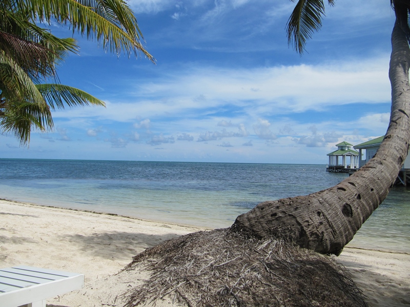 MayaWalk Tours