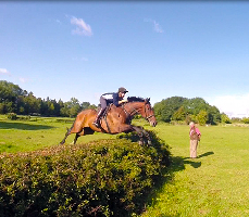My Saddle Brook Farm