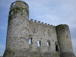 County Carlow Ireland Castle
