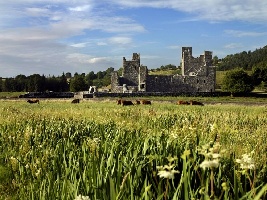 County Westmeath Ireland Abbey