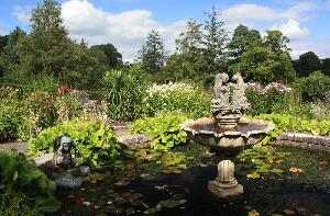 Omearas Garden Centre