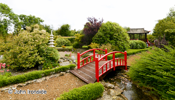 Glenavon Japanese Garden