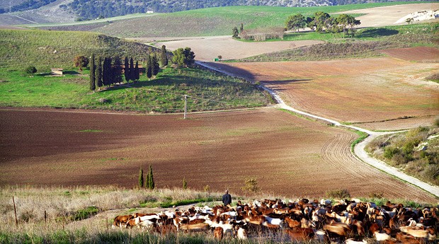Adventures Thru the Lens Jerusalem Photo Tour