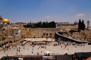 AvrahamTours Day Tours