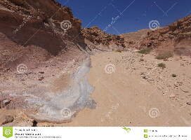 Desert Wave