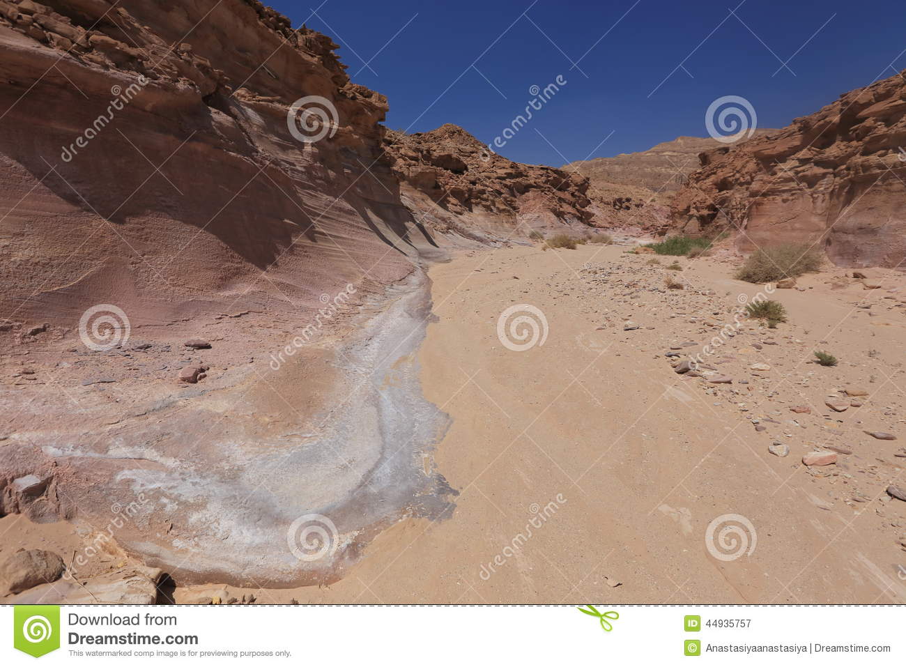 Desert Wave
